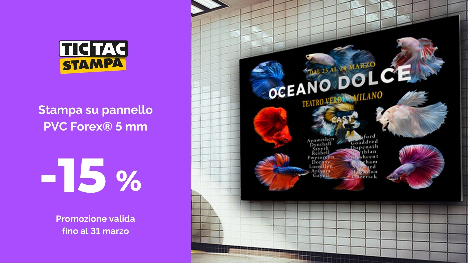 Forex ® 5 mm | tictac.it